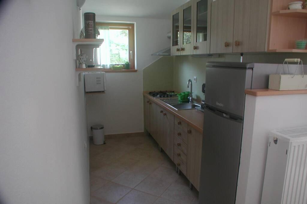 Stinjan-Studio Apartment Petric PUY 외부 사진